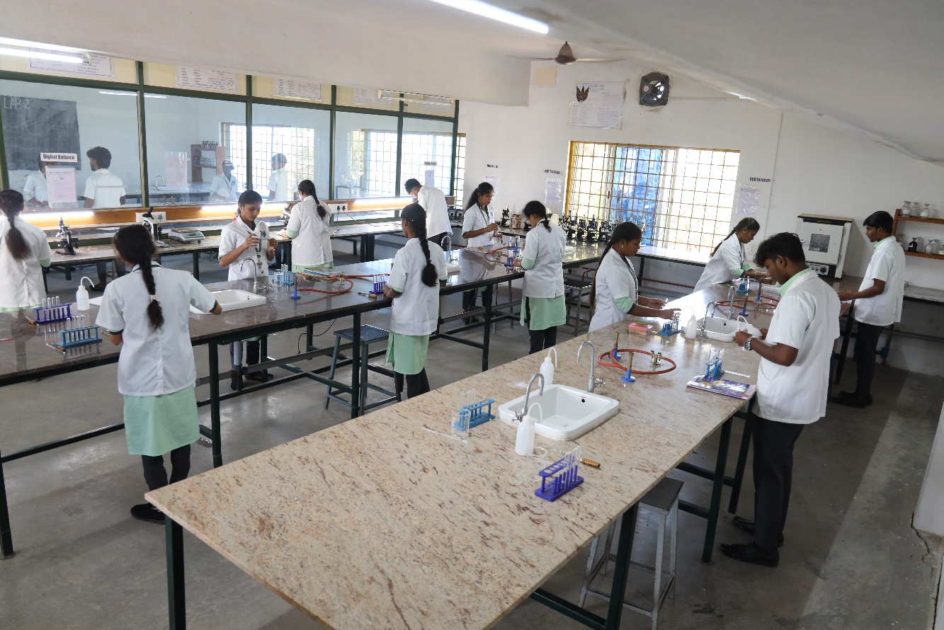 Department of Pharmacognosy